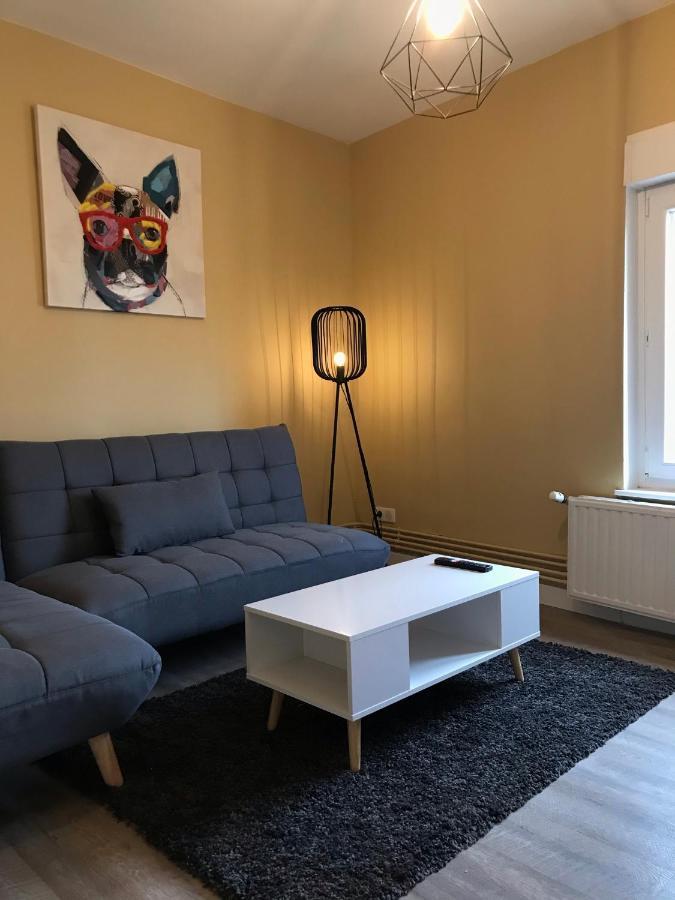 Confort - Nancy Centre - Chambre - Salle De Sport - 45 M2 Kültér fotó